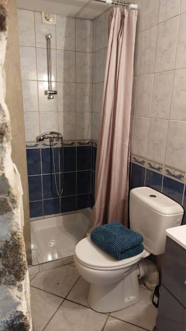 Maisonnette Chaleureuse De 35M2 Miremont  Esterno foto
